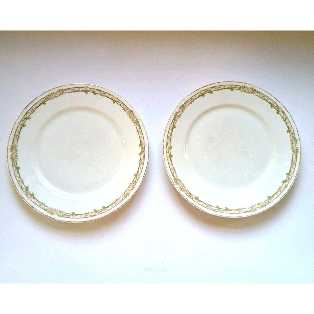 Antique Theodore Haviland Limoges lot of 2 Pink Roses 9.75" Plates Schleiger